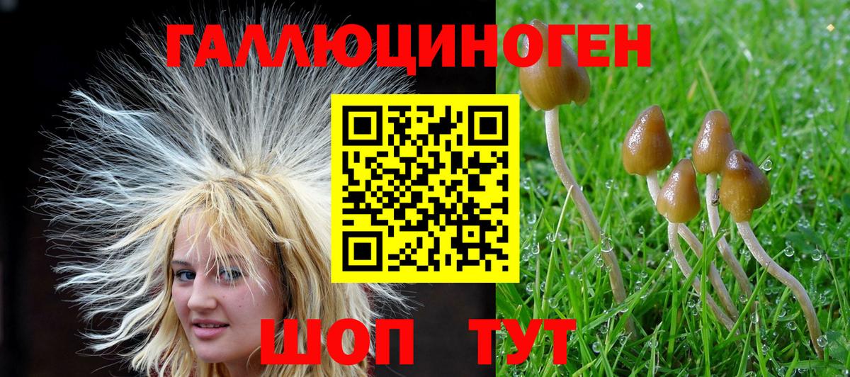 Галлюциногенные грибы Psilocybine cubensis  Галлюциногенные грибы Psilocybine cubensis  Красноперекопск  Вход с VPN 